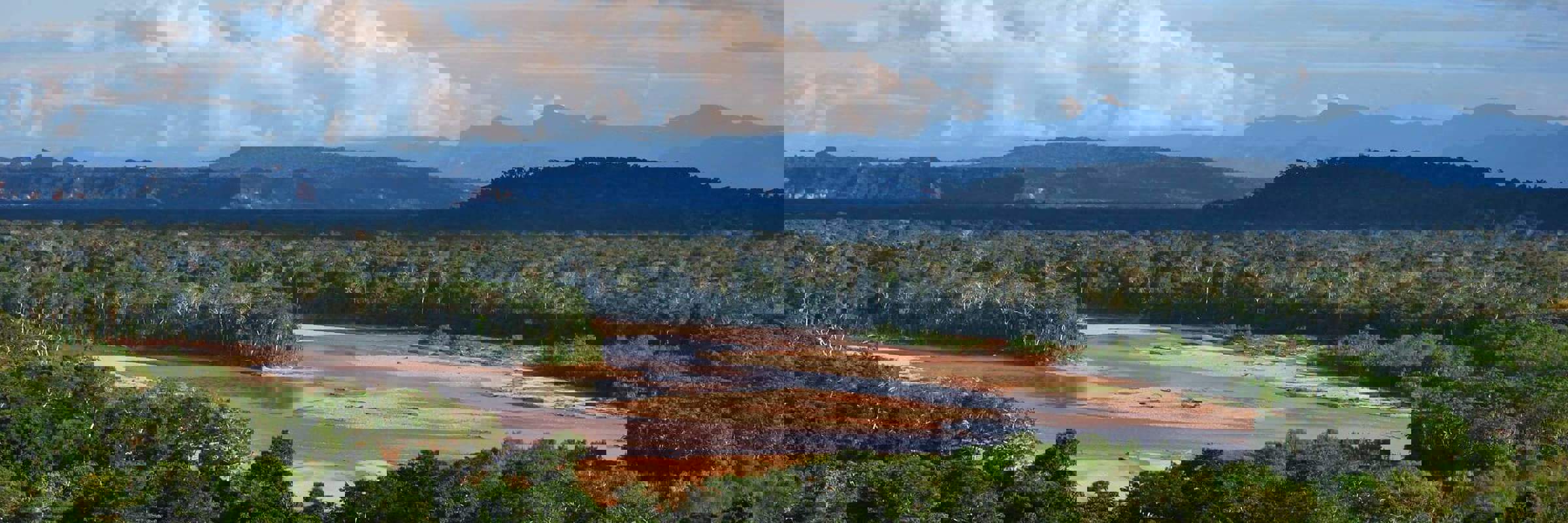 Madidi