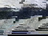 Australis