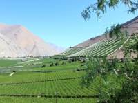 Elqui