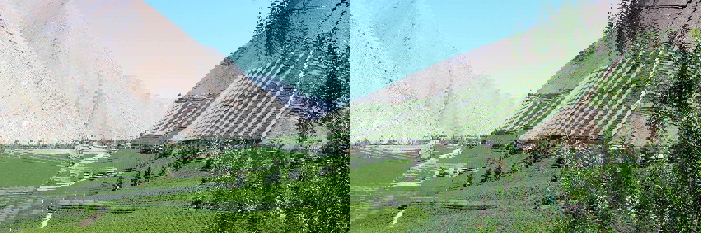 Elqui