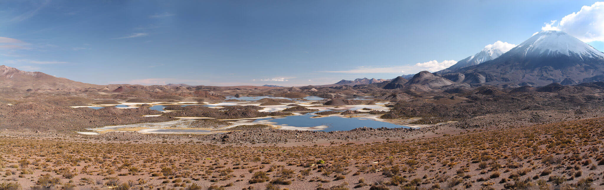 Lauca 