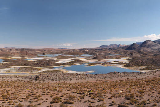 Lauca 