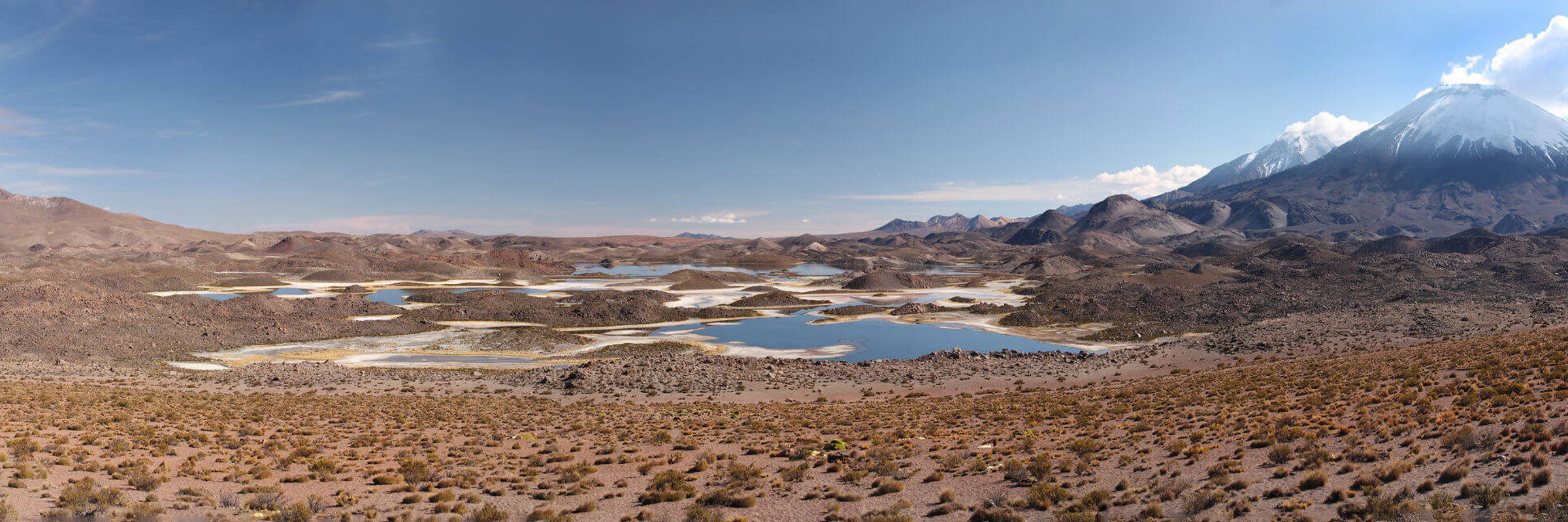 Lauca 