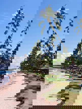 Praia do Forte Beach