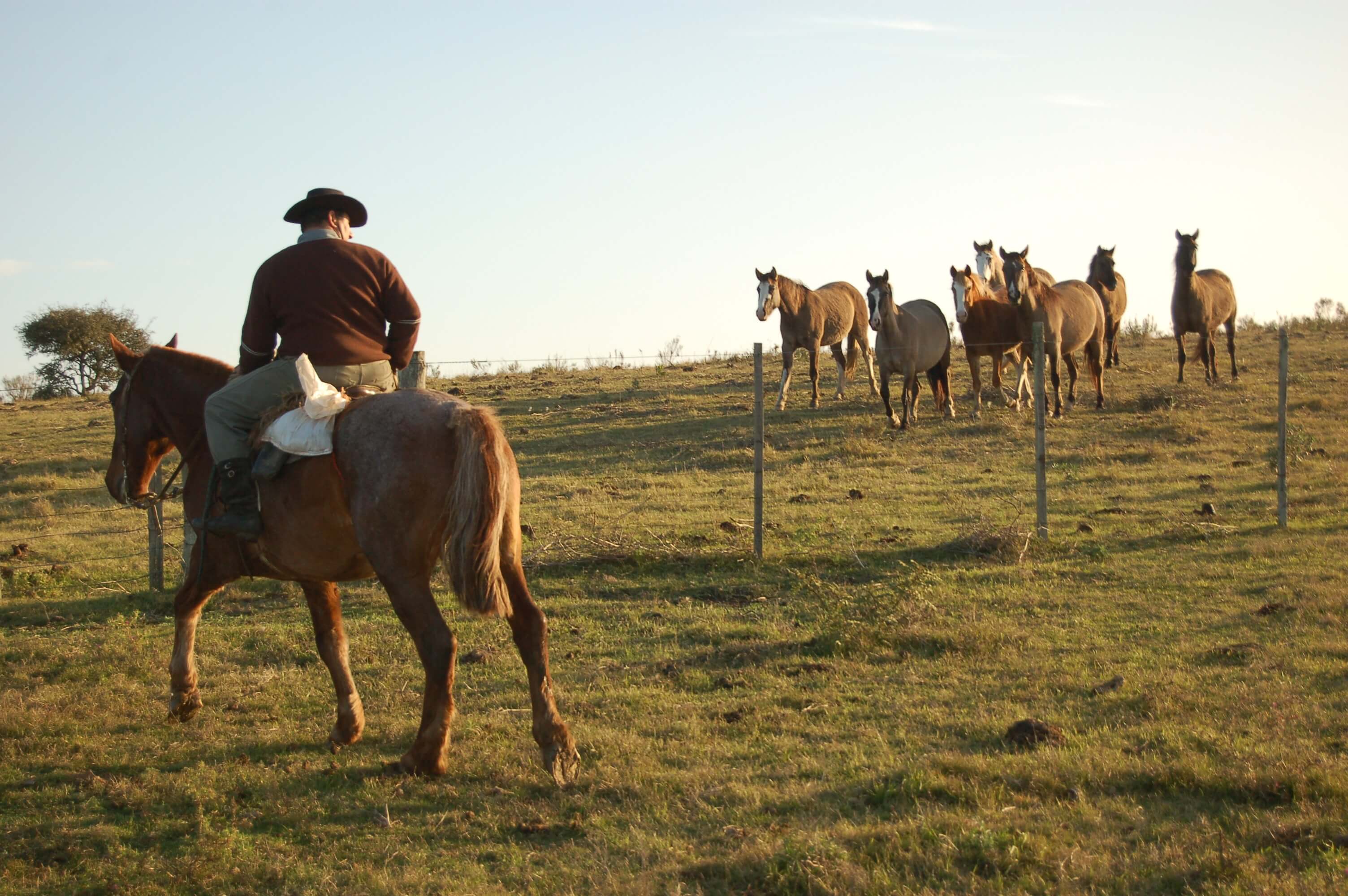 Estancia Finca Piedra