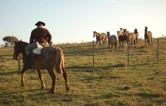 Estancia Finca Piedra