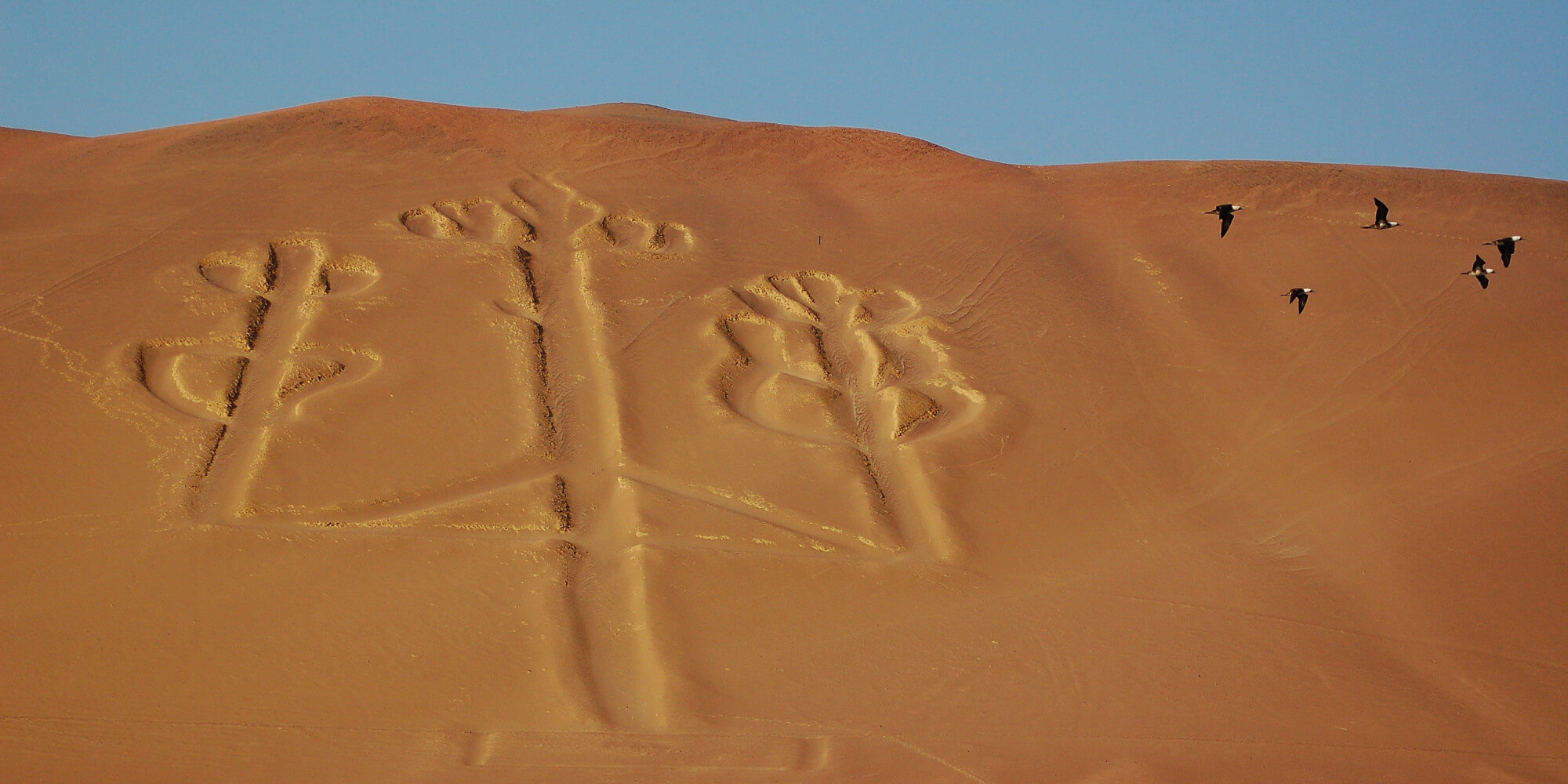 Paracas