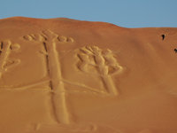 Paracas