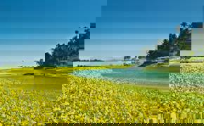 Assam