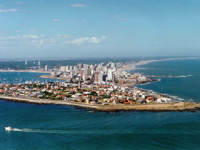 Punta del Este Aerial with beach and pine trees behind
