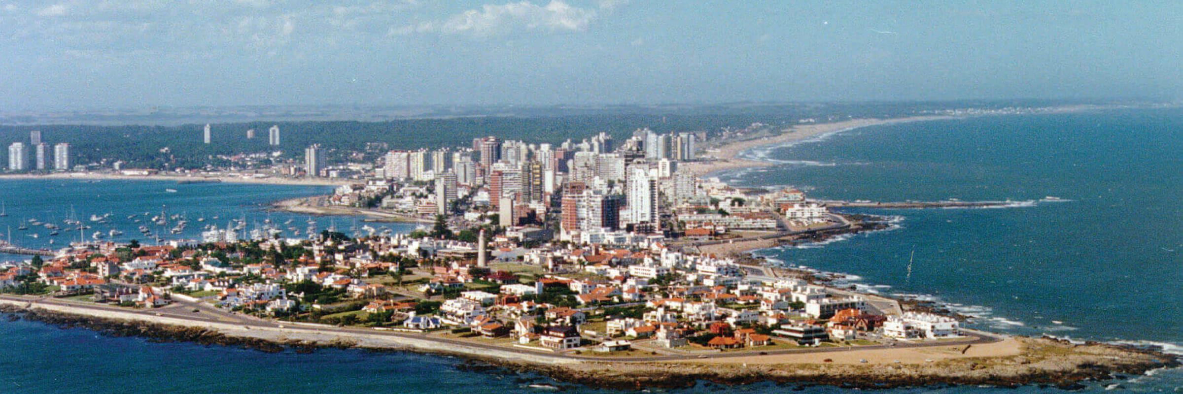 Punta del Este Aerial with beach and pine trees behind