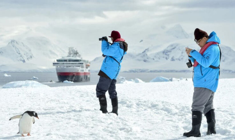 Découverte des pingouins de l’Antarctique 