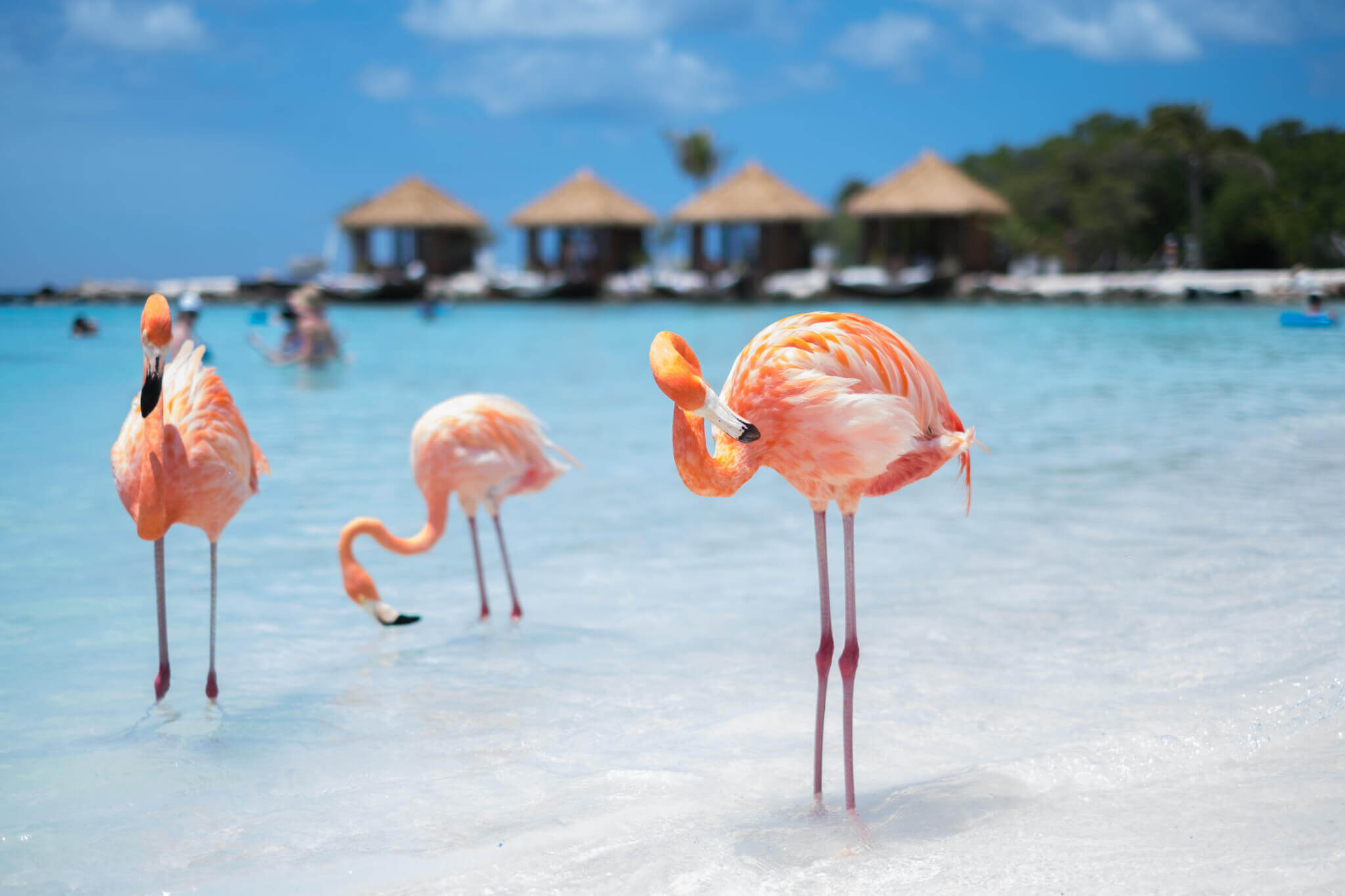 Aruba