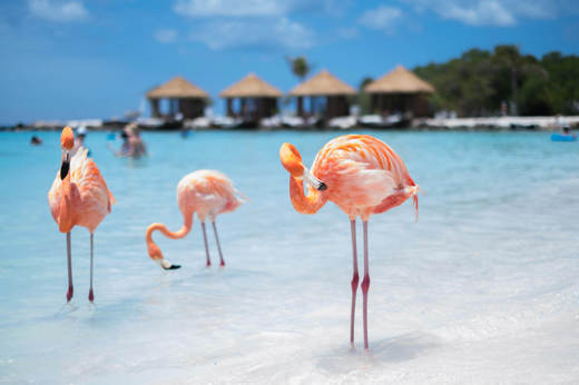 Aruba
