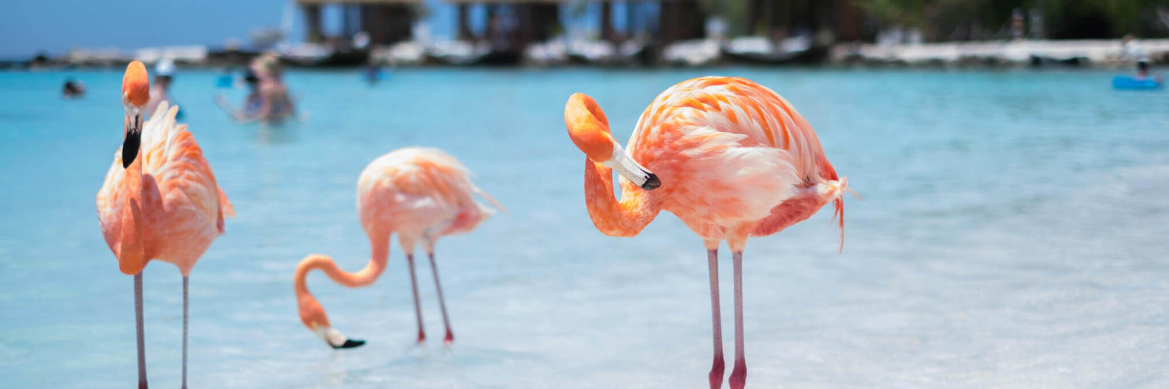 Aruba