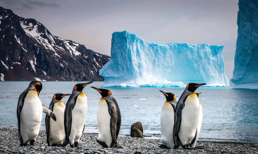 Antarctique