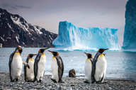 Antarctique