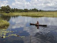 Marais de Kaw
