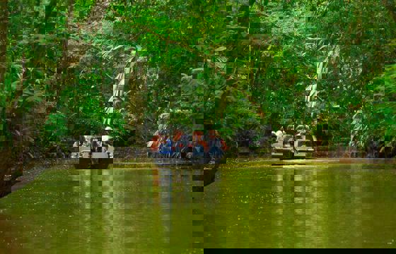 Visitors cruise through Tortuguero's lush canals, surrounded by dense jungle and vibrant wildlife.