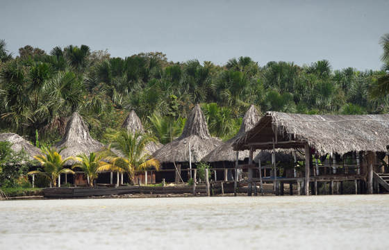Orinoco