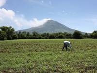 Volcan Santa Ana