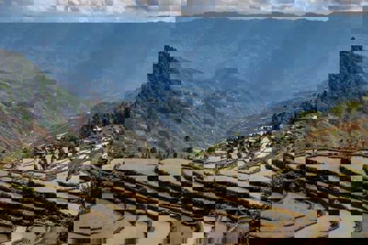 Yuanyang