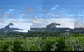 Martinique
