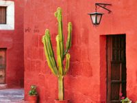 Arequipa
