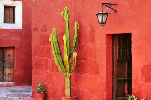 Arequipa