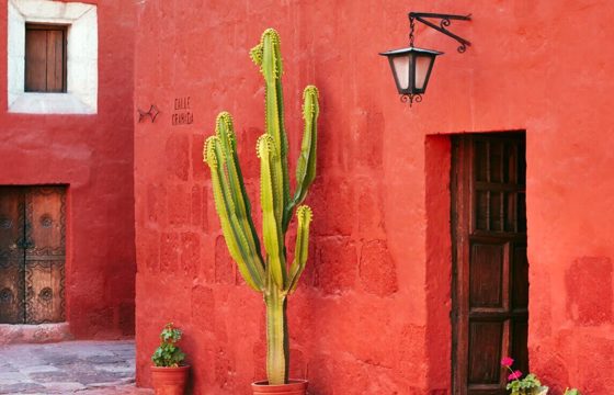 Arequipa