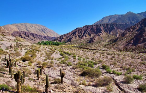 Argentina 4909267 1280