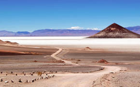 Argentine nord