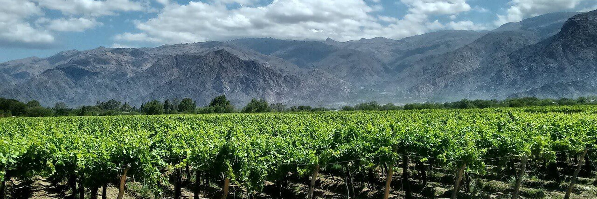 Cafayate Vins Argentines