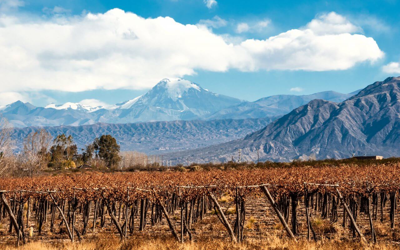 Cafayate (1)