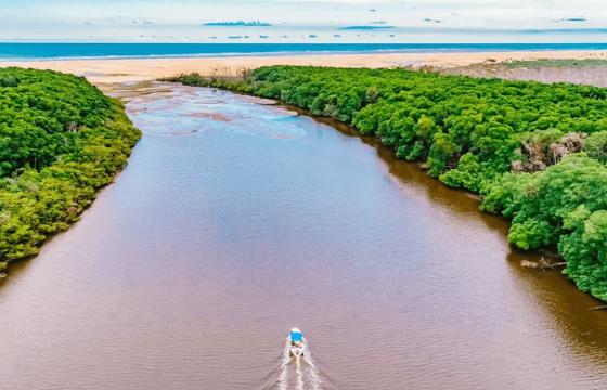 Boat cruising along the Parnaiba River Delta, flanked by lush mangroves, heading towards the Atlantic Ocean. 
