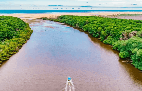 Boat cruising along the Parnaiba River Delta, flanked by lush mangroves, heading towards the Atlantic Ocean.