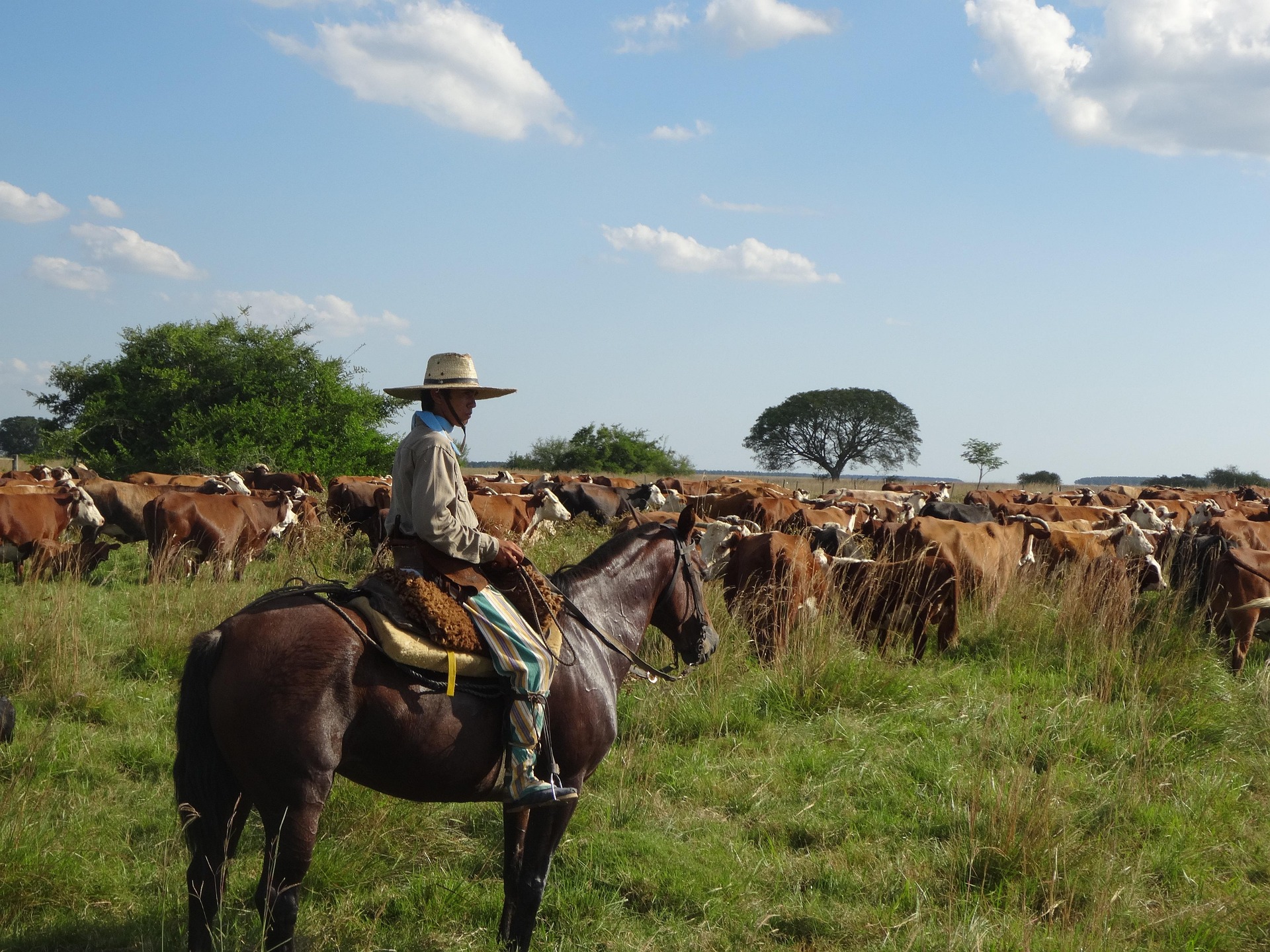Gaucho Paraguay 