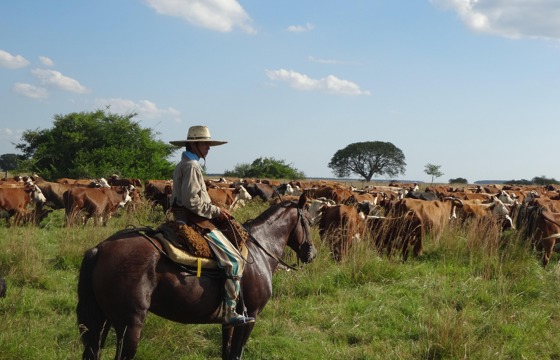 Gaucho Paraguay 